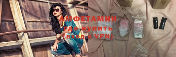 молекула духа Козельск
