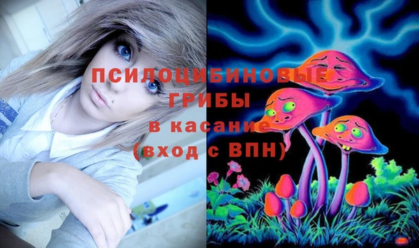 МДМА Козловка