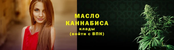 молекула духа Козельск