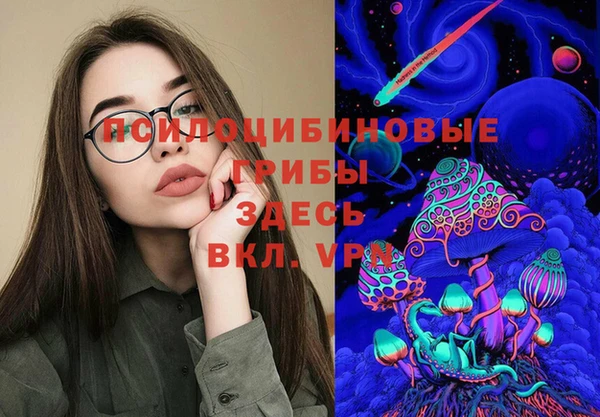МДМА Козловка