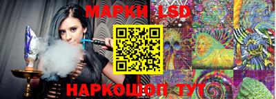 индика Будённовск