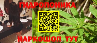 индика Будённовск