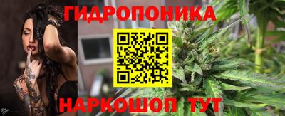 индика Будённовск