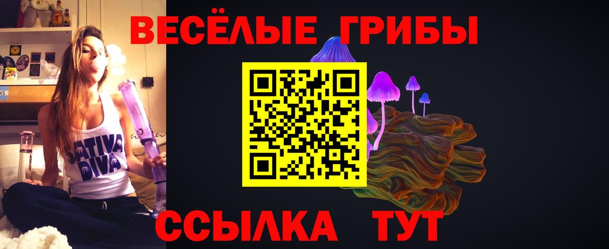 Псилоцибиновые грибы ЛСД  Псилоцибиновые грибы Psilocybe  Нижний Новгород  Вход с VPN 