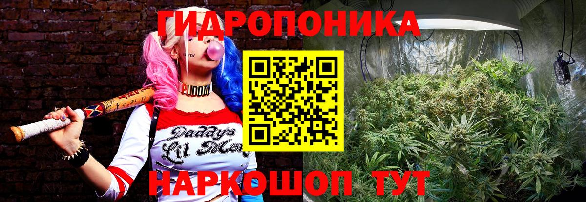 Конопля VHQ  Вход с VPN  Шишки марихуана THC 21%  Каннабис тримм  Нижний Новгород 